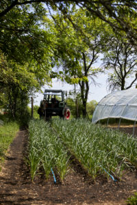 Bauerngarten im Mai 2020