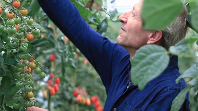 vimeo placeholder image